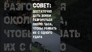 Чем полезен огонь? #projectzomboid #hibridfeory #выживание