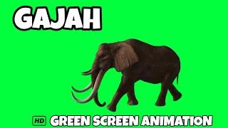Green Screen Animasi Gajah