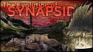 Evolution of Synapsids