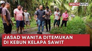 Mayat Wanita Ditemukan di Perkebunan Kelapa Sawit Deli Serdang | Beritasatu