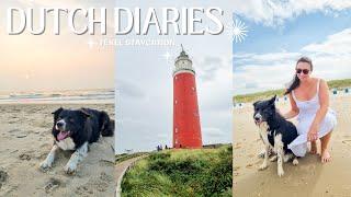 DUTCH STAYCATION  Texel Island, Ecomare Seal Sanctuary, Lamb Cuddling in Den Burg!