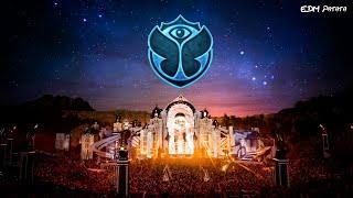 Tomorrowland 2020 [BEST DROPS] || Steve Aoki, Timmy Trumpet, Vintage Culture & More!