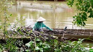 |MPSĐ| Củi Trôi Sông Mẹ Bơi Xuồng Ra Vớt Để Dành Nấu Bữa Cơm Ngon Hằng Ngày Cho Gia Đình Ăn