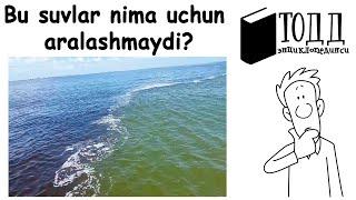 Nima uchun Bu Suvlar Aralashmaydi?