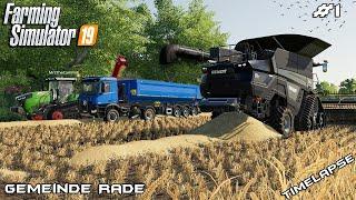 Harvesting wheat with MrsTheCamPeR | Animals on Gemeinde Rade | Farming Simulator 19 | Episode 1