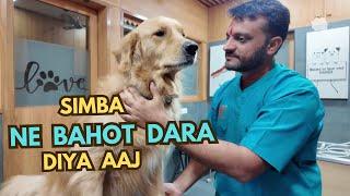 SIMBA NE DARA DIYA  || SWANIYA VLOGS