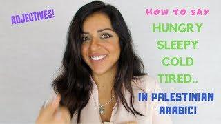 HUNGRY, COLD, TIRED, BORED, SLEEPY IN PALESTINIAN ARABIC! ADJECTIVES