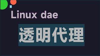 dae Linux下全局透明代理软件 | V2RayA 进化版