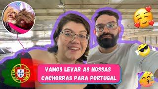 CVI DOCUMENTO PARA LEVAR CACHORROS PARA PORTUGAL