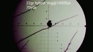 Fx impact .22 fx hybrid slugs