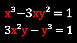 An Interesting Polynomial System