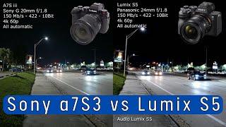 Panasonic Lumix S5 vs Sony A7S iii - Low Light Test