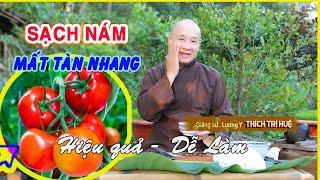 MẸO trị NÁM DA, TÀN NHANG từ gốc BẰNG CÀ CHUA (Hiệu Quả) da đen nám lâu ngày cũng trắng dần sạch sẽ