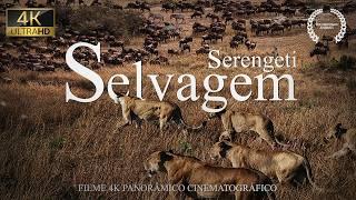 SERENGETI SELVAGEM | Vida Selvagem na Savana Africana | Documentário Animais Selvagens