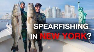 Finding New York's Hidden Treasures - 50 Pound Beast