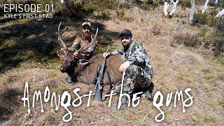 BACKPACK HUNTING SAMBAR STAGS IN THE VICTORIAN ALPINE HIGH COUNTRY