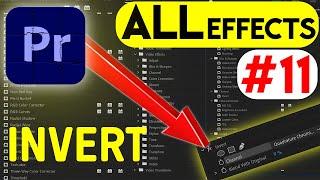 INVERT Effect (TUTORIAL)Channel / ALL- Every Effect in Adobe Premiere Pro 2023 Explained-Ep#11-Hindi