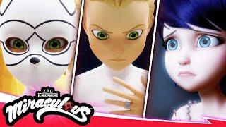 MIRACULOUS |  REPRESENTATION - Felix's Story  | SEASON 5 | Tales of Ladybug & Cat Noir