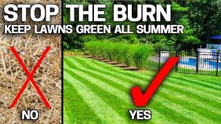 Easy Trick STOPS Lawn Burning Without Water - Doesn't Get Any Better Than This