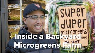 Super Duper Microgreens: Backyard Farm in the Heart of the Bay Area