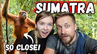 Jungle Trekking in Sumatra, Indonesia | Part 1 of 2