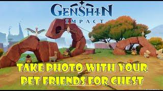 Take picture with your pet and his friend for hidden chest, Natlan Chest Part 36 - Genshin Impact