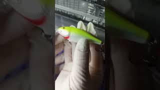 Rapala обзор нового воблера #рыбалка #снасти #воблера #rapala #rapalafishing #рыба