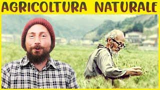 Masanobu Fukuoka e i 4 PILASTRI dell'AGRICOLTURA NATURALE  - Agricoltura del Buon Fare ep.1