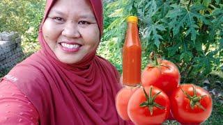 CARA BUAT SOS TOMATO HOMEMADE BY KAK NUR@TIP SEDAP TAK MASAM