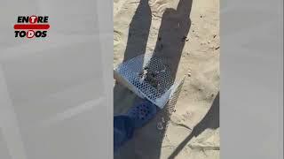 Inventan un Recogedor de Red para la Basura de la playa - Entre Todos Digital