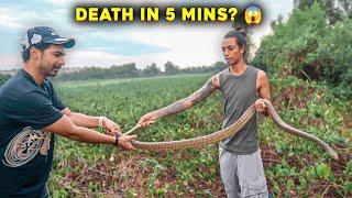 Venomous Snake Utha Liya  Rescued Snake Release Karne Gaye Special Series Keliye