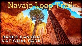 Navajo Loop Trail | Bryce Canyon National Park | 3 min