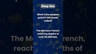 Deep Sea - Mind Blowing Fact #shorts