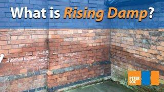 What is rising damp? | How to spot rising damp in your home