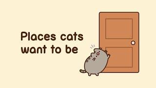 Pusheen: Places Cats Want to Be