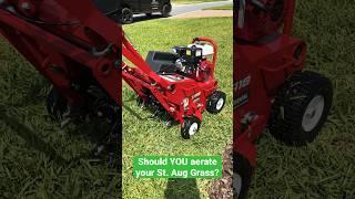 Should you AERATE St. Augustine Grass? #staugustinegrass #coreaeration