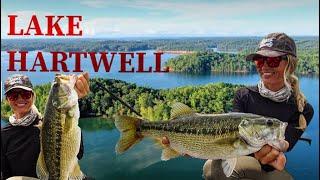 Fishing HARTWELL during HERRING spawn (part 2)