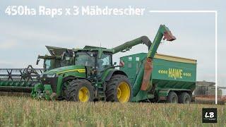 450ha Raps Dreschen  in MV | 3x Mähdrescher - Raw Sound