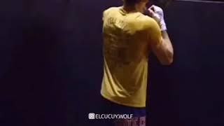 TONY FERGUSON