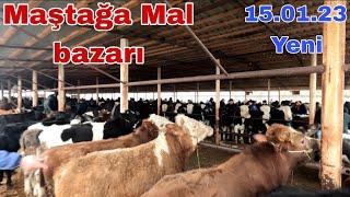 MAŞTAĞA - Mal Bazarı 15.01.2023