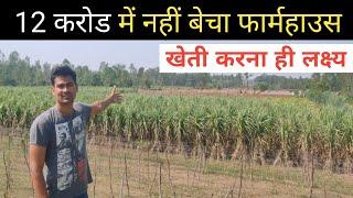 60 बीघा फार्महाउस पर अनेक प्रकार की  फसलें | youtube Rishabh chauhan ji ka khet per|CHAUHAN AGROFARM