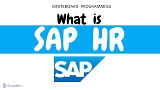 What is SAP HR Explained | Introduction to SAP HCM Overview & Basics