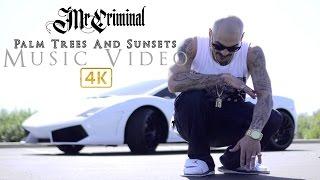 Mr. Criminal - Palm Trees And Sunsets (Official Music Video) 2017!