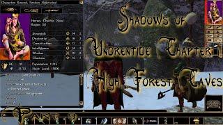 Neverwinter Nights Enhanced Edition Shadows of Undrentide Chapter 1 High Forest Caves