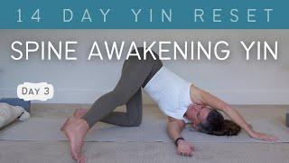 30 Minute Spine Awakening Yin || Devi Daly Yoga