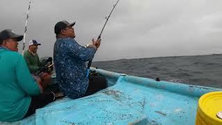 Espectacular Pesca de Dorado #MAHIMAHI en costas panameñas - Pedasí, Los Santos, Azuero, Panamá