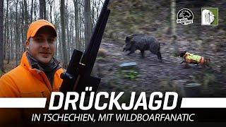 Drückjagd in Tschechien mit @WildboarFanatic