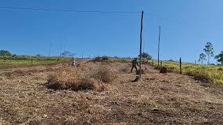 # Anápolis dona zefina é sarafim na fazenda trabalhando na roça