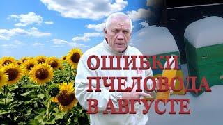 Август на пасеке Что должен сделать пчеловод в первую очередь