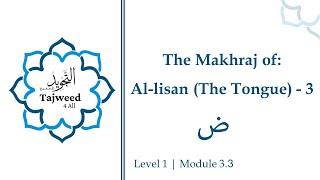 Module 1.3.3: Makhraj of the Tongue (3) ض (Tajweed 4 all/Tajweed 101)